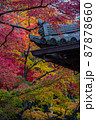 常寂光寺：紅葉と家紋 87878660