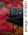 常寂光寺：紅葉 87878661