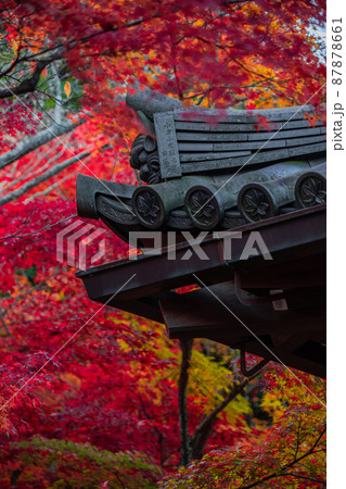 常寂光寺:紅葉 常寂光寺:紅葉 87878661