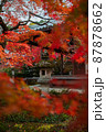 常寂光寺：紅葉と灯籠 87878662