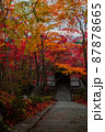 常寂光寺：紅葉 87878665