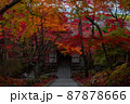 常寂光寺：紅葉 87878666