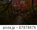 常寂光寺：夕暮れ時の紅葉 87878676