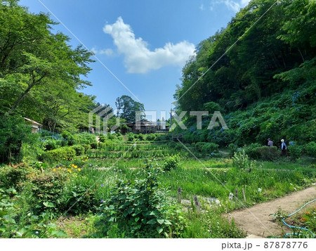 佐用町の風景〜里山 87878776