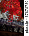 京都：二尊院の紅葉と家紋 87878780