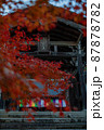 京都：二尊院の紅葉 87878782