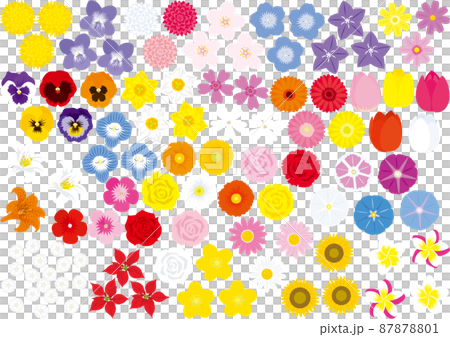Colorful colorful flower illustration set 87878801