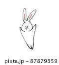 ぴょんぴょんと嬉しそうなうさぎを 87879359