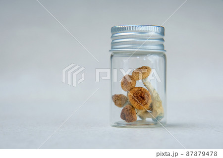 Psilocybin psychedelic magic mushrooms Golden Teacher. Psilocybin psychedelic magic mushrooms Golden Teacher. 87879478