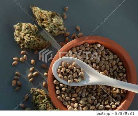 A bunch of cannabis seeds lie on a spoon and plate with several dried buds 87879531