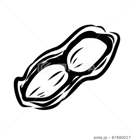 Peanut nut seed vector. Isolated on white background. Peanut butter food ingredient. Engraved hand drawn peanut illustration in retro vintage style. Organic Food, cosmetics, treatment component Peanut nut seed vector. Isolated on white background. Peanut butter food ingredient. Engraved hand drawn peanut illustration in retro vintage style. Organic Food, cosmetics, treatment component 87880027