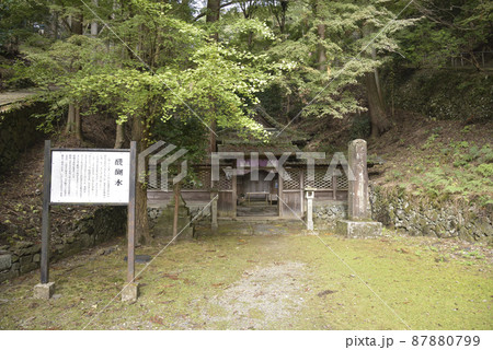 醍醐水 上醍醐 醍醐水 上醍醐 87880799