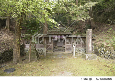 醍醐水 上醍醐 醍醐水 上醍醐 87880800