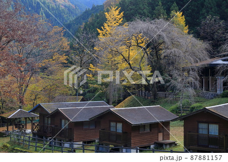 自然に囲まれたバンガロー施設 87881157