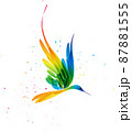 Colorful fantasy abstract bird in flight on white bakground 87881555
