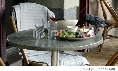 A crow landed on a table to peck at the remains left by a customer. A crow landed on a table to peck at the remains left by a customer. 87881600