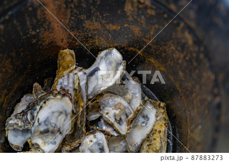 牡蠣小屋　牡蠣食べ放題イメージ【宮城県】 87883273