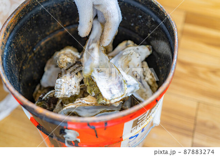 牡蠣小屋　牡蠣食べ放題イメージ【宮城県】 87883274
