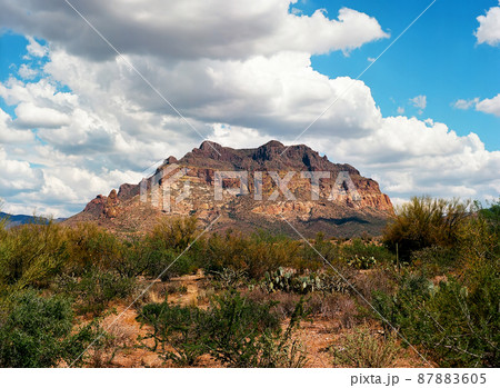 Sonora Desert Sonora Desert 87883605