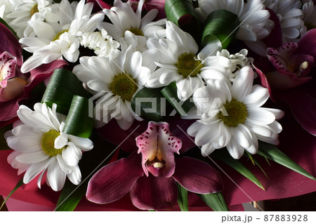 Group of purple vanda orchid and white Chrysanthemums flower background Group of purple vanda orchid and white Chrysanthemums flower background 87883928