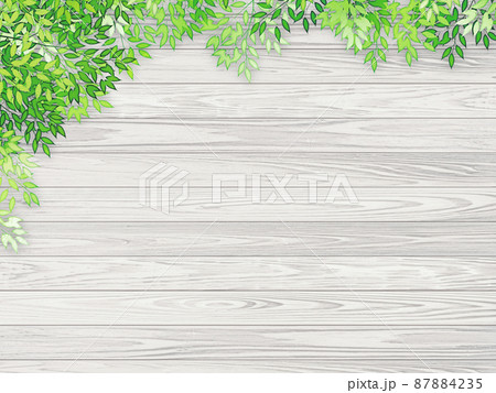新緑　木材（背景素材） 87884235