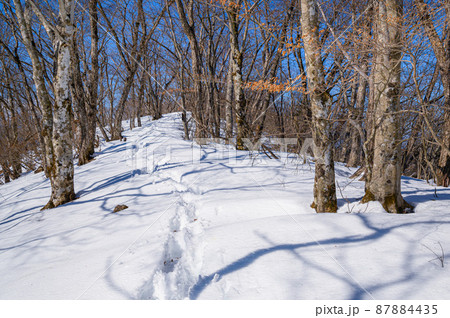 （山梨県）厳冬の御坂黒岳・雪深き山道 87884435