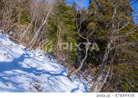 （山梨県）厳冬の御坂黒岳・雪深き山道 87884436