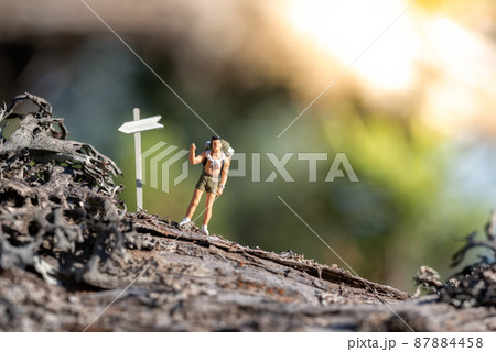 Backpacker near sign post at hiking trail in the forest 87884458