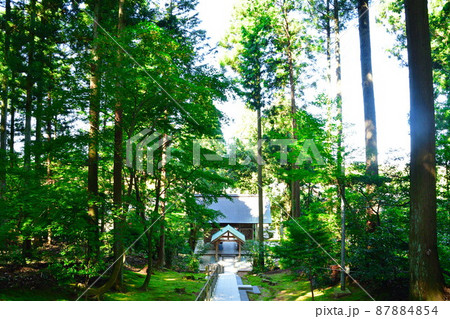 旦飯野神社(新潟県) 旦飯野神社(新潟県) 87884854
