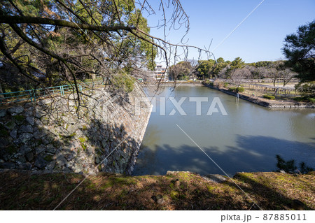 【愛知県】　名古屋城 87885011