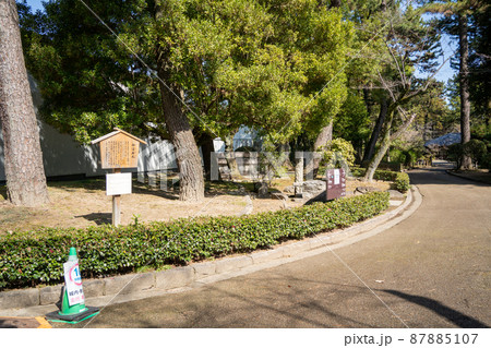 【愛知県】　名古屋城 87885107