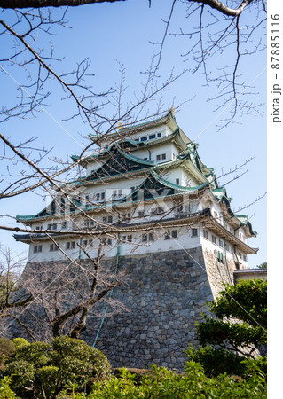 【愛知県】　名古屋城 87885116