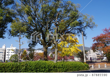 広島天満川河畔公園の秋の景色 広島天満川河畔公園の秋の景色 87885590