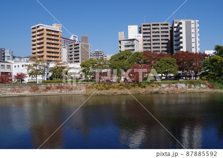 広島天満川河畔の秋の景色 87885592