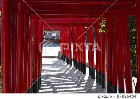 四日市市山津見神社の赤鳥居 87886404
