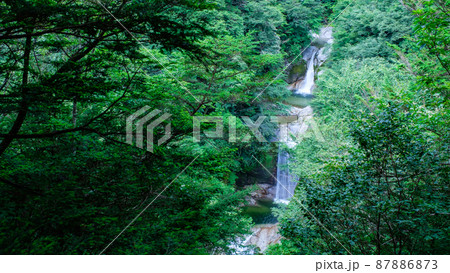 尾白川渓谷：神蛇滝（夏） 87886873