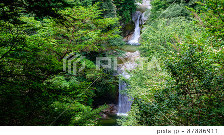 尾白川渓谷：神蛇滝（夏） 87886911