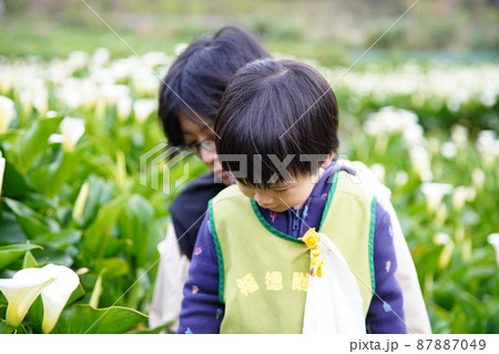 幼児 お母さん ママ 87887049