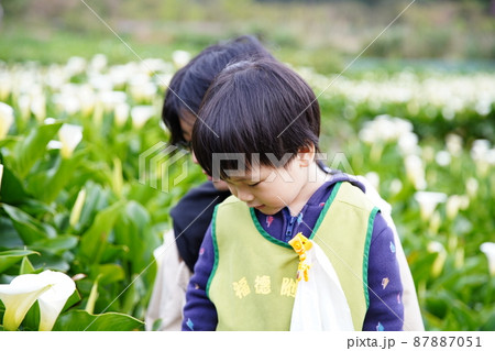 幼児 お母さん ママ 87887051