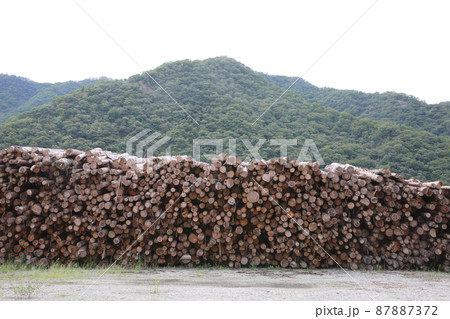 木材 木材 87887372