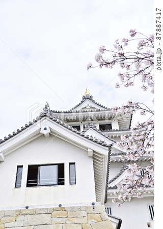 墨俣城と桜 87887417