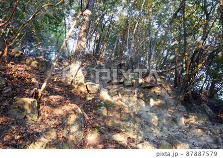 感状山城 87887579