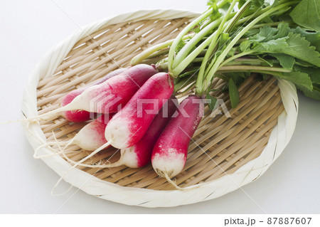 ラディッシュ 87887607