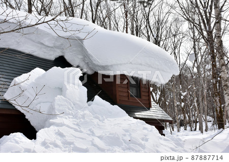 雪に埋もれたログハウス 雪に埋もれたログハウス 87887714