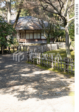 【愛知県】　名古屋城 87887836