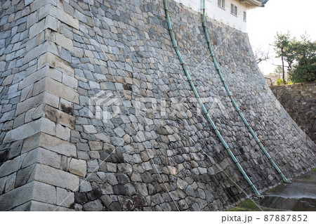 【愛知県】　名古屋城 87887852