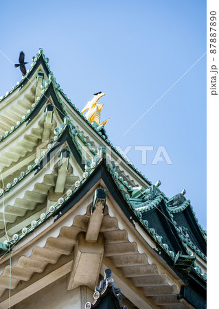 【愛知県】　名古屋城 87887890