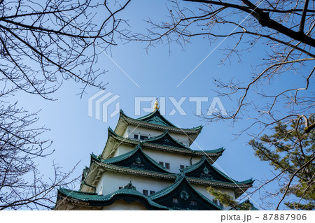 【愛知県】　名古屋城 87887906