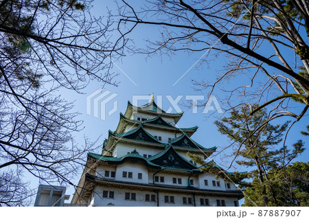 【愛知県】　名古屋城 87887907