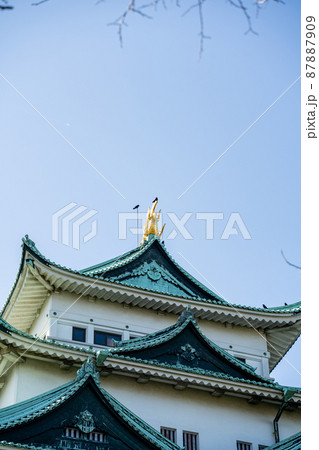 【愛知県】　名古屋城 87887909
